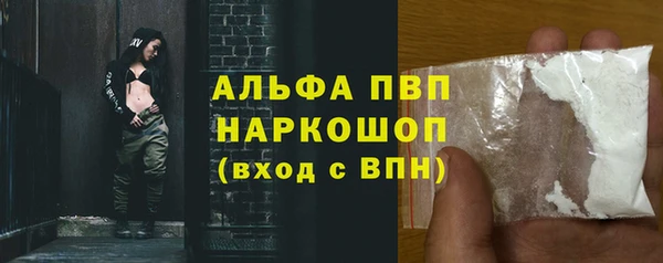 Альфа ПВП Белокуриха