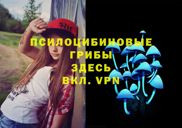 Альфа ПВП Белокуриха