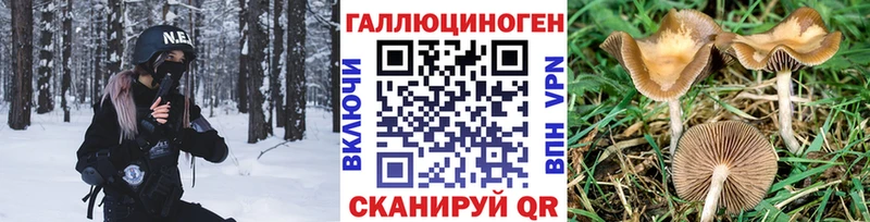Галлюциногенные грибы мухоморы  mega как зайти  Западная Двина 